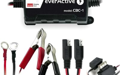 Ładowarka prostownik do akumulatorów 6V/12V everActive 14V/1A CBC-1