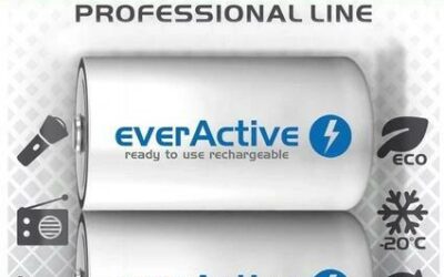 Akumulatorki D / R20 Ni-MH everActive 10000mAh Professional Line (box 2 szt.)