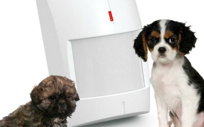 SATEL CZUJNIK RUCHU PIR+MW GREY