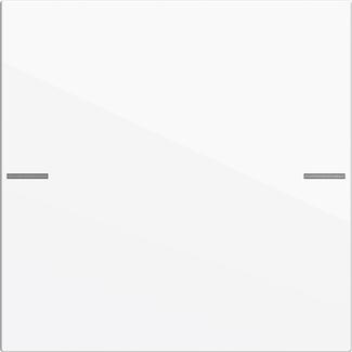 GIRA zestaw klawiszy 1x TS4 System 55 biały 575103