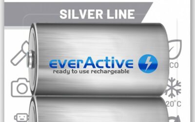 Akumulatorki D / R20 Ni-MH everActive 5500mAh Silver Line (box 2 szt.)