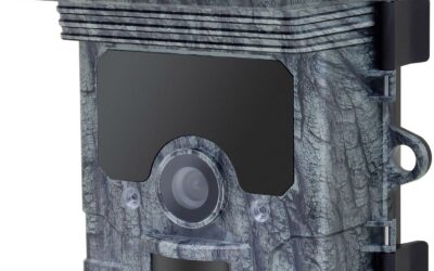 Fotopułapka Redleaf RD7000 WiFi