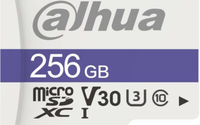 Karta pamięci microSD DAHUA 256GB TF-C100