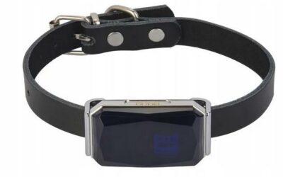 Lokalizator GPS Mking MK12P