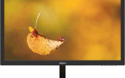 MONITOR DAHUA LM19-L200