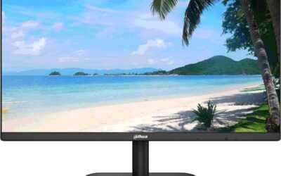 MONITOR DAHUA LM24-F200