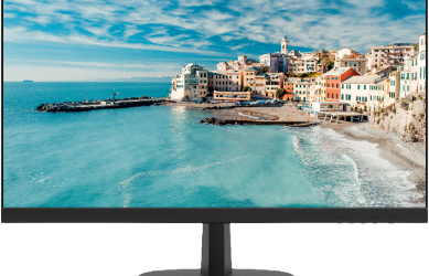 Monitor DS-D5024FN HIKVISION