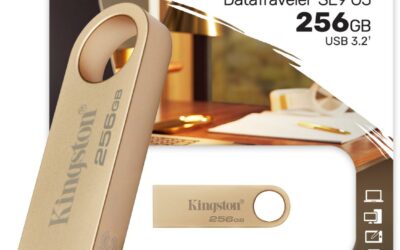 Pendrive Kingston Data Traveler DTSE9G3 256GB USB3.2 Gen1