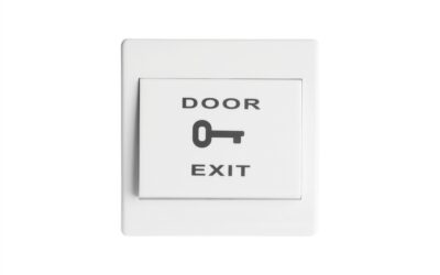 Przycisk wyjścia SCOT BT-2D podtynkowy