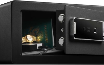 Sejf z czytnikiem linii papilarnych Master Lock LX110BEURHRO